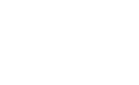 Chat Noir Impressions